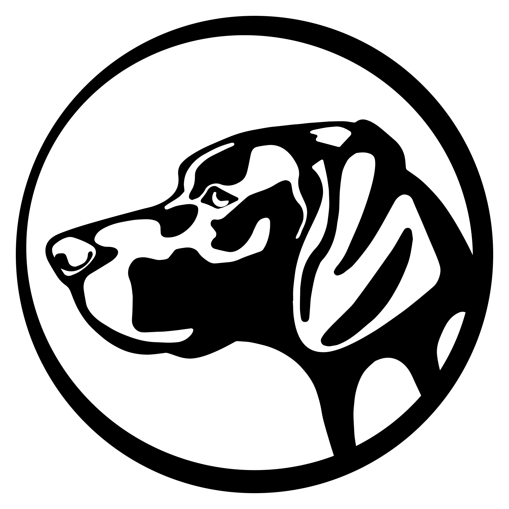 Pine Ranch Outfitters logo